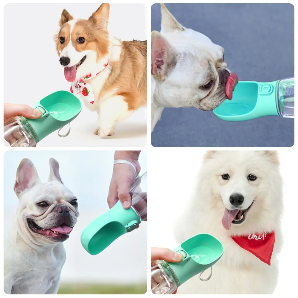 Velora HydroPaw™